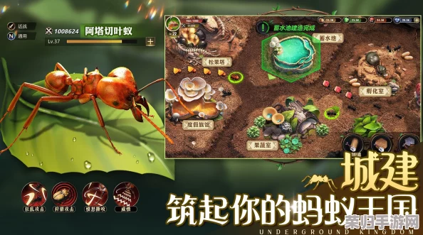 《小小蚁国》游戏内兑换码获取攻略：解锁最新福利，一网打尽全系列专属兑换码集合！