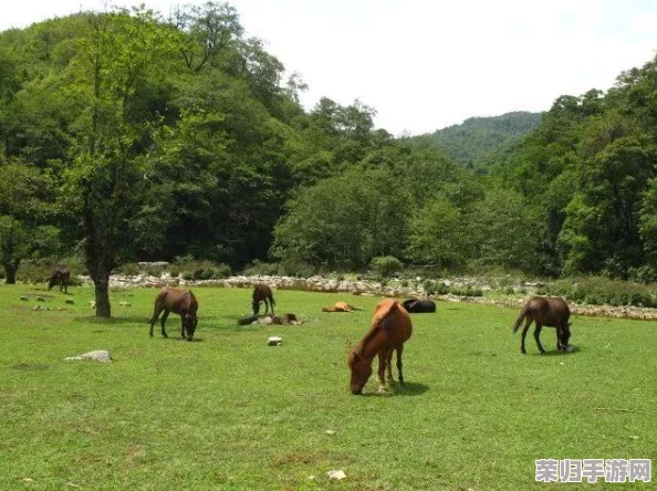 《篝火2：重塑遗忘之地建筑智慧与策略全览》——高效建造心得与深度探索攻略
