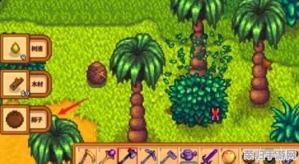 星露谷物语中高效获取椰子的实用方法与种植技巧全攻略
