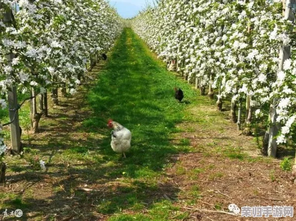 仙山田园秘辛：小农果树种植贡献率全览与高效栽培策略指南