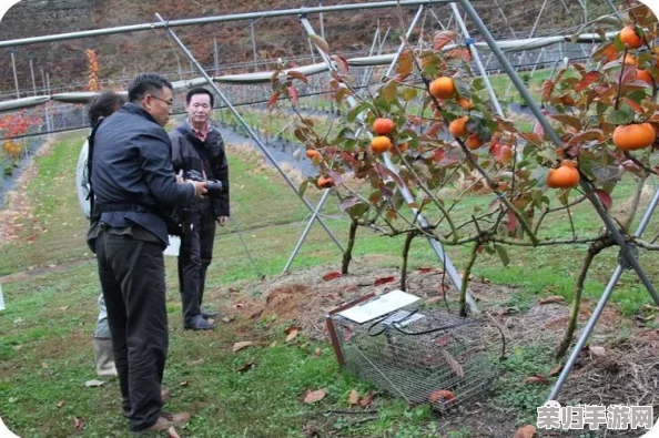 仙山田园秘辛:小农果树种植贡献率全览与高效栽培策略指南 仙山田园秘辛:小农果树种植贡献率全览与高效栽培策略指南