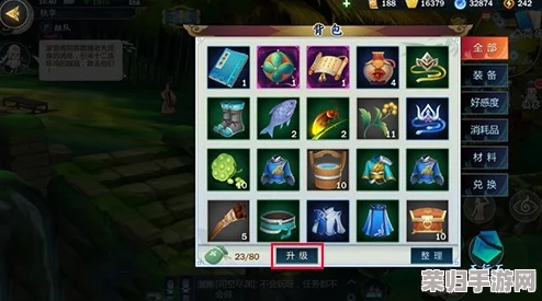 《剑网3指尖江湖》：高效扩容背包策略与独家升级秘籍全攻略