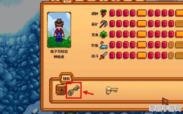 《星露谷物语》全攻略：揭秘独特下水道解锁技巧，探索隐藏世界的秘密通道