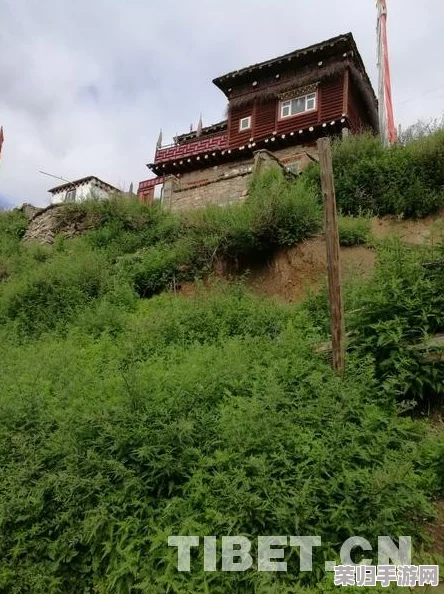 神话时代重述版WIN11兼容难题攻克：全面解决方案助你顺畅进入游戏世界