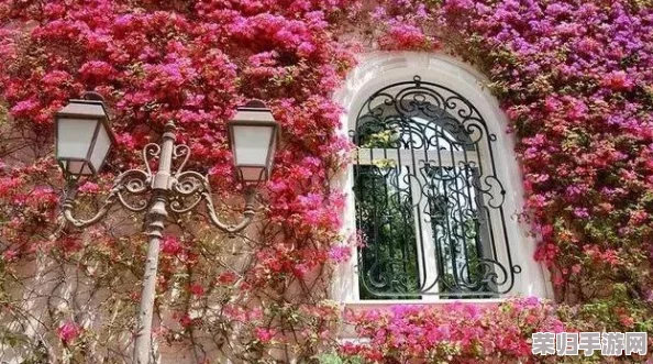 独家攻略：光遇世界中繁花拱门的雅致解锁路径与技巧详解