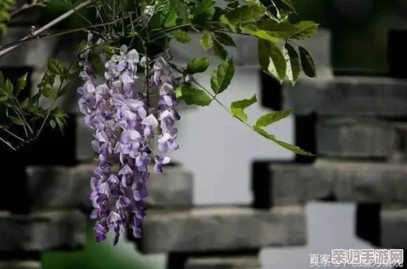 独家攻略：光遇世界中繁花拱门的雅致解锁路径与技巧详解