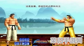 拳皇97巅峰对决：黄毅与华阳技术风格深度剖析，谁将领衔格斗界新风尚？