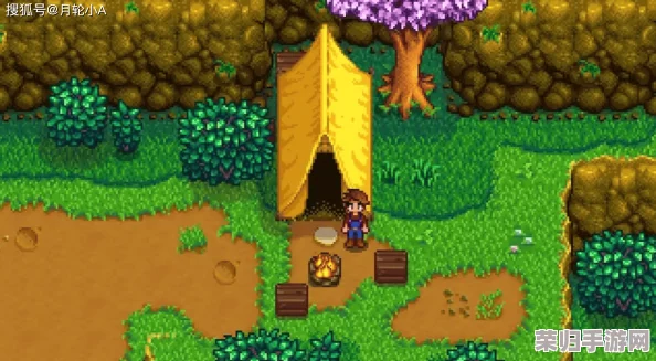 《星露谷物语》新手必知：优先解锁哪个功能，让农场生活更顺畅？