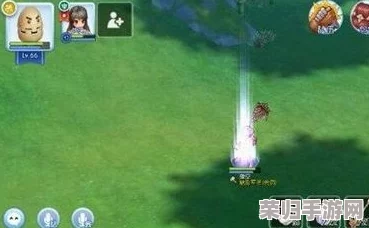 仙境传说重启征程：猎人职业专属技能加点策略与实战优化指南