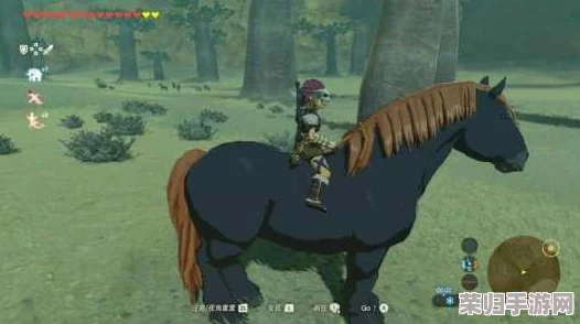 探索《塞尔达传说》中稀世骏马的隐秘踪迹：寻觅最佳坐骑的完美地点指南