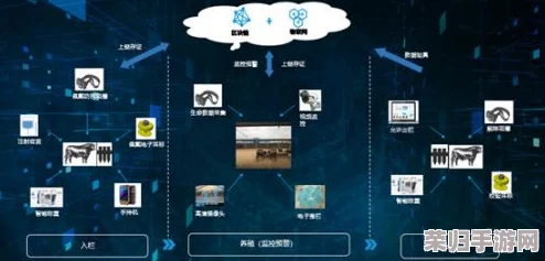 打造江湖金矿帝国：选址智慧、建设蓝图到高效运营的全流程实战策略指南