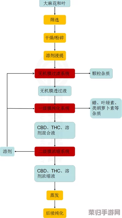 打造江湖金矿帝国：选址智慧、建设蓝图到高效运营的全流程实战策略指南