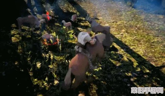 探索《怪物猎人》系列：哪款弓手外观既炫酷又实用，成为狩猎场上的视觉焦点？