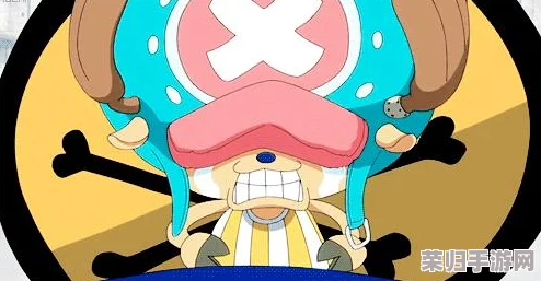 航海王燃烧意志：策略对比——佳妮法辅助魅力VS乔巴治愈之光，培养抉择深度剖析