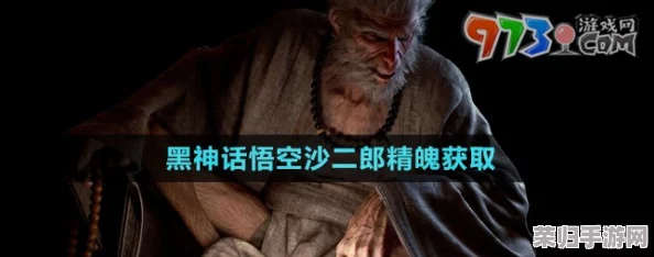 独家攻略：黑神话悟空中精魄沙二郎的高效收集策略与技巧揭秘