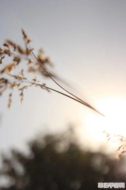 《第五人格》策略揭秘：记者职业深度剖析，哪些角色成其最佳克制之选？