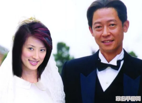 42关高阶技巧揭秘：精准掌握操作3，实现无缝对接的完美通关策略