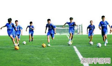 《决胜足球》新星启航：独家新手阵容搭配与球员成长策略全指南