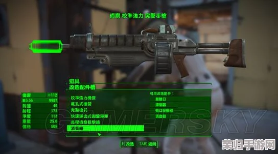 辐射4深度探索：抉择之战——哪款传奇装备在废土中更具优势？