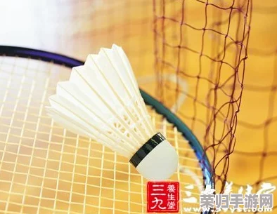 2024年度精选：沉浸式羽毛球3D游戏盛宴，高人气佳作全盘点与深度可玩性分析