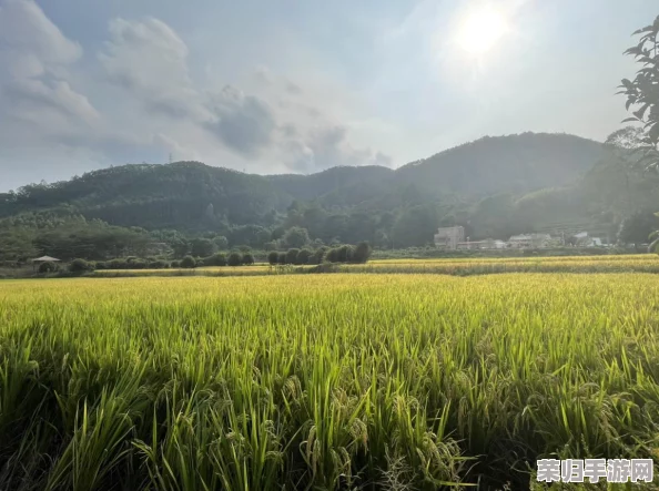 全面攻略：重生细胞游戏中稻草人镰刀独特获取途径与技巧解析