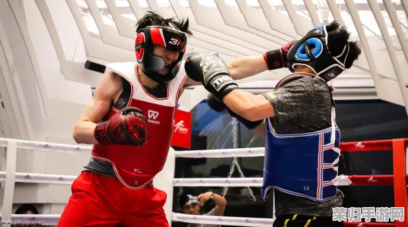 《使命召唤手游：排位赛高手进阶秘笈，实战策略与得分技巧全面盘点》 轻松登顶荣耀之巅