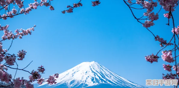 日本独特的传统文化和现代科技并存之美