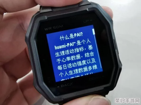 中国野外mgdrcc的真实体验：网友称其为探险者的必备神器，值得一试！