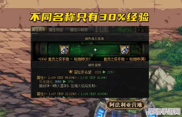 DNF深度攻略：高效喂养装备技巧，助你战力飙升！