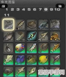 《最终幻想14》玩家必看：高效获取潮虫鱼饵购买指南！