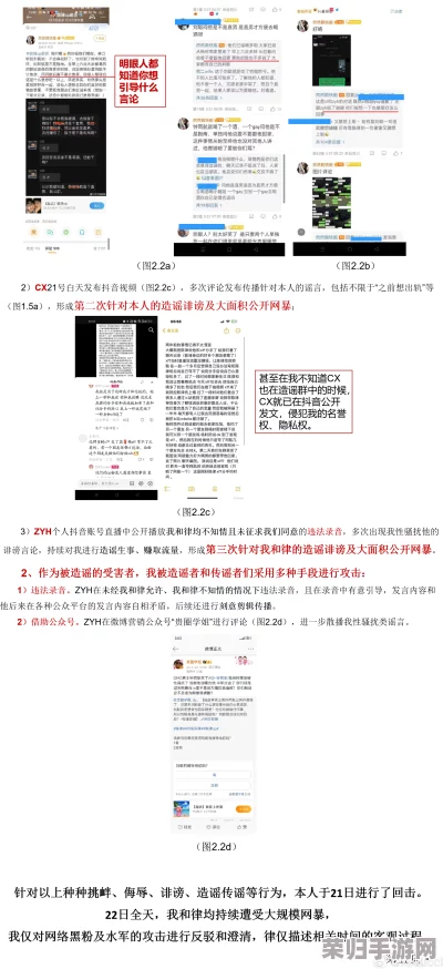 17c网址哪里去了？最新动态与用户反馈全解析，带你了解背后的故事