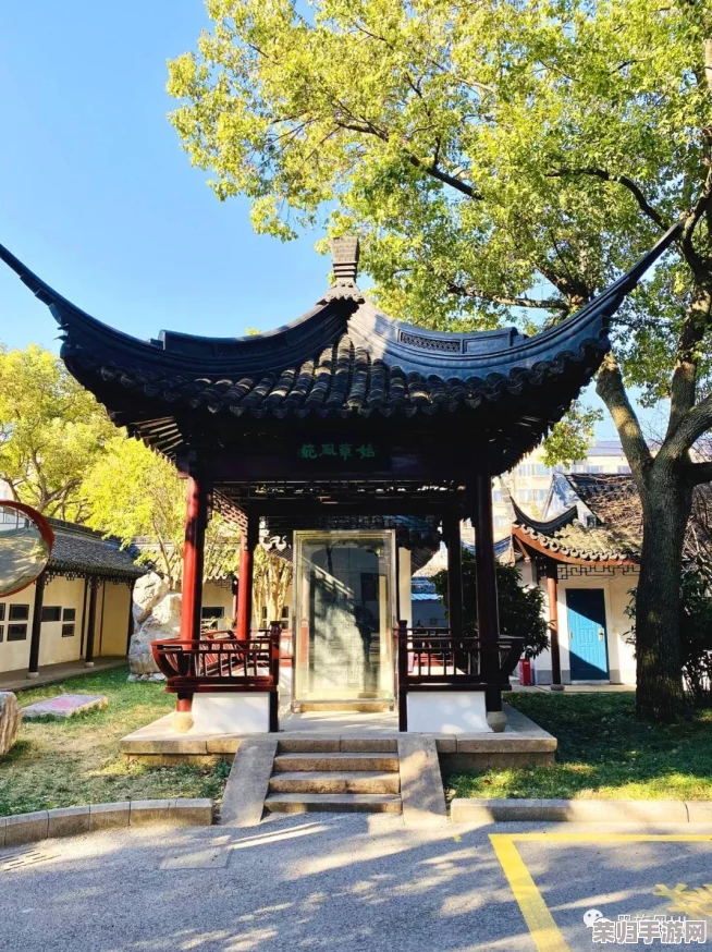 掌握游戏王策略巅峰：巨石遗物卡组构建与实战应用技巧深度剖析