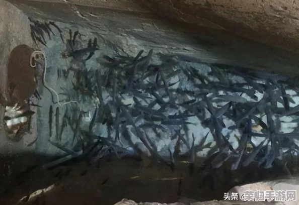 2024年必玩精选：探索采用虚幻引擎5技术的持久魅力游戏，下载指南与推荐榜单