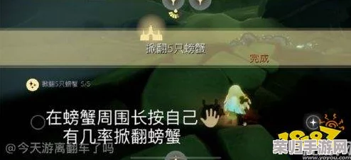 《光遇》11月24日特别篇：追寻温暖足迹，解锁先祖美好记忆全攻略指南