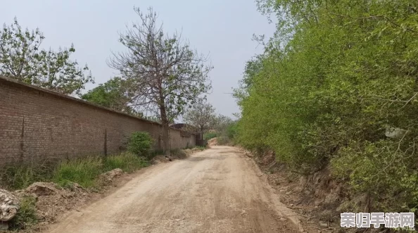 《心动小镇》萌新启程必备:全方位新手成长指南与高效探索策略 《心动小镇》萌新启程必备:全方位新手成长指南与高效探索策略