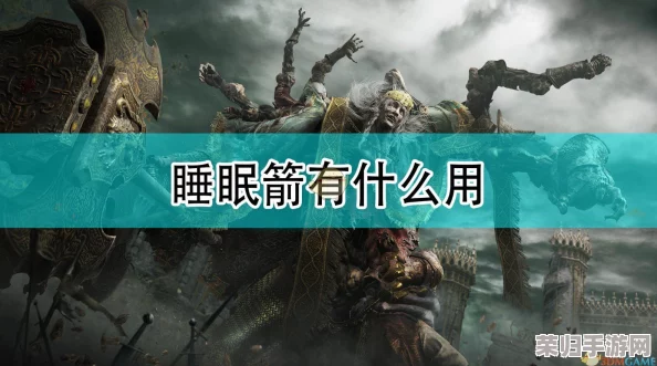 艾尔登法环中，哪一款弓箭最适合远程狩猎与策略战斗的深度探索者？